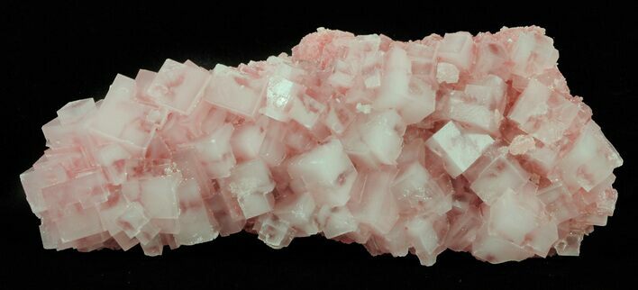 Pink Halite Crystal Plate - Trona, California #61055